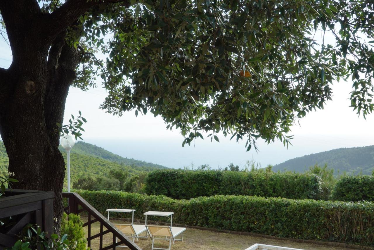 B&B Il Piccolo Paradiso Montenero  ภายนอก รูปภาพ